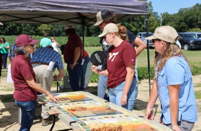 Field day attendees and technicians discuss peanut grading charts at field day events.