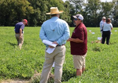 Two men in hats discussing peanuts in the field with other field day attendees.