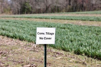 A conventional tillage - no cover sign stands in the field during cover crop field day.