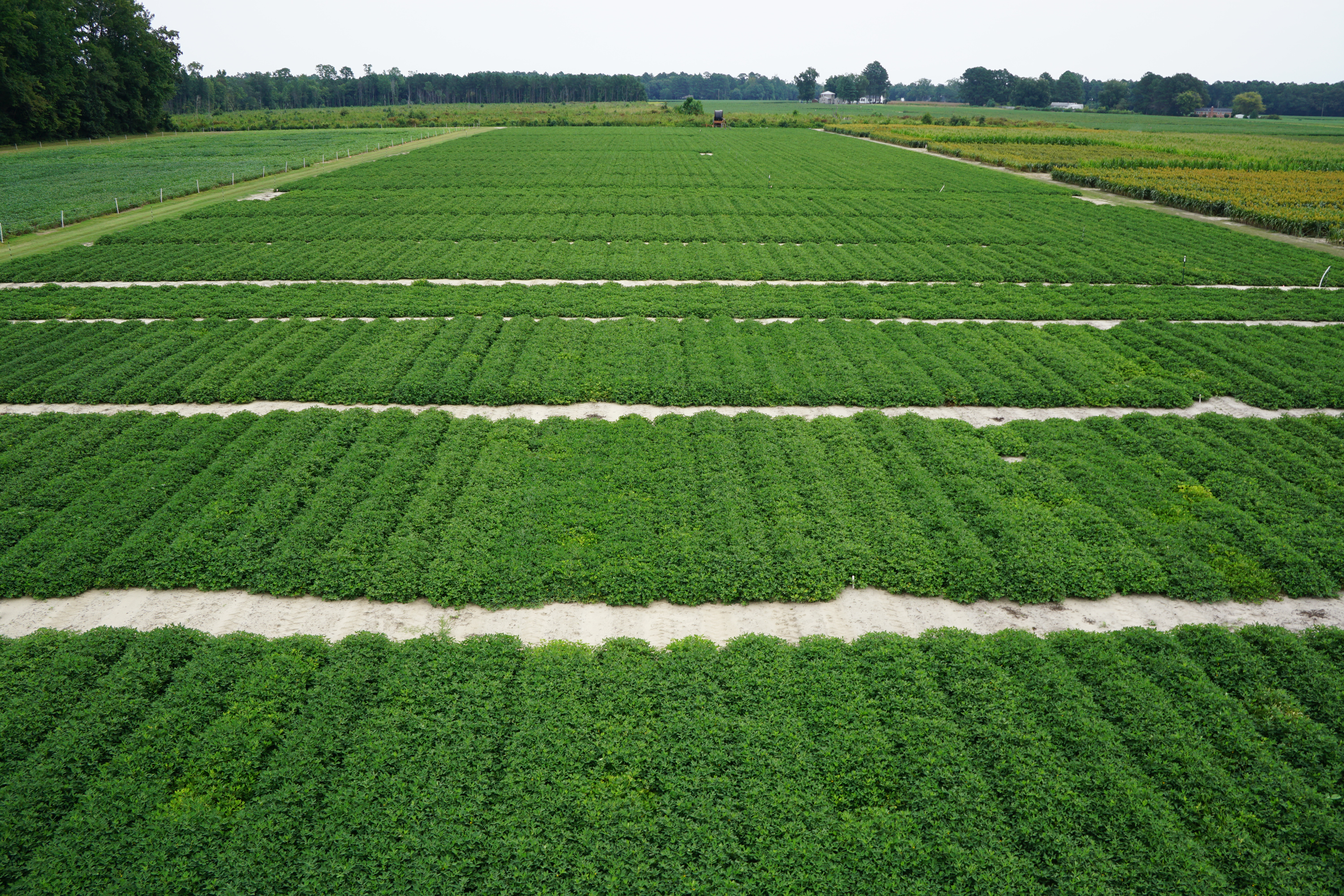 Aerial View Tidewater AREC