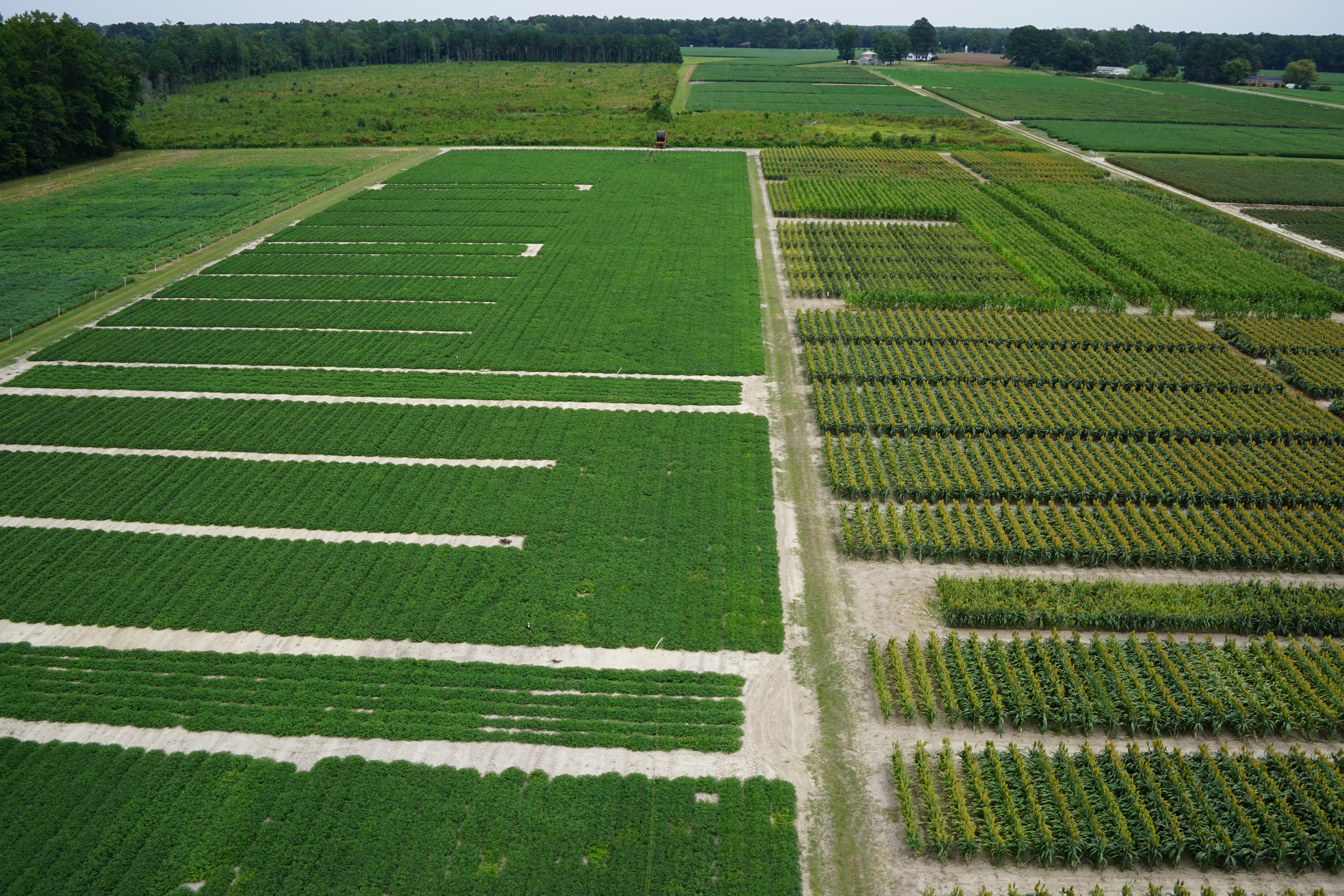 Aerial View Tidewater AREC
