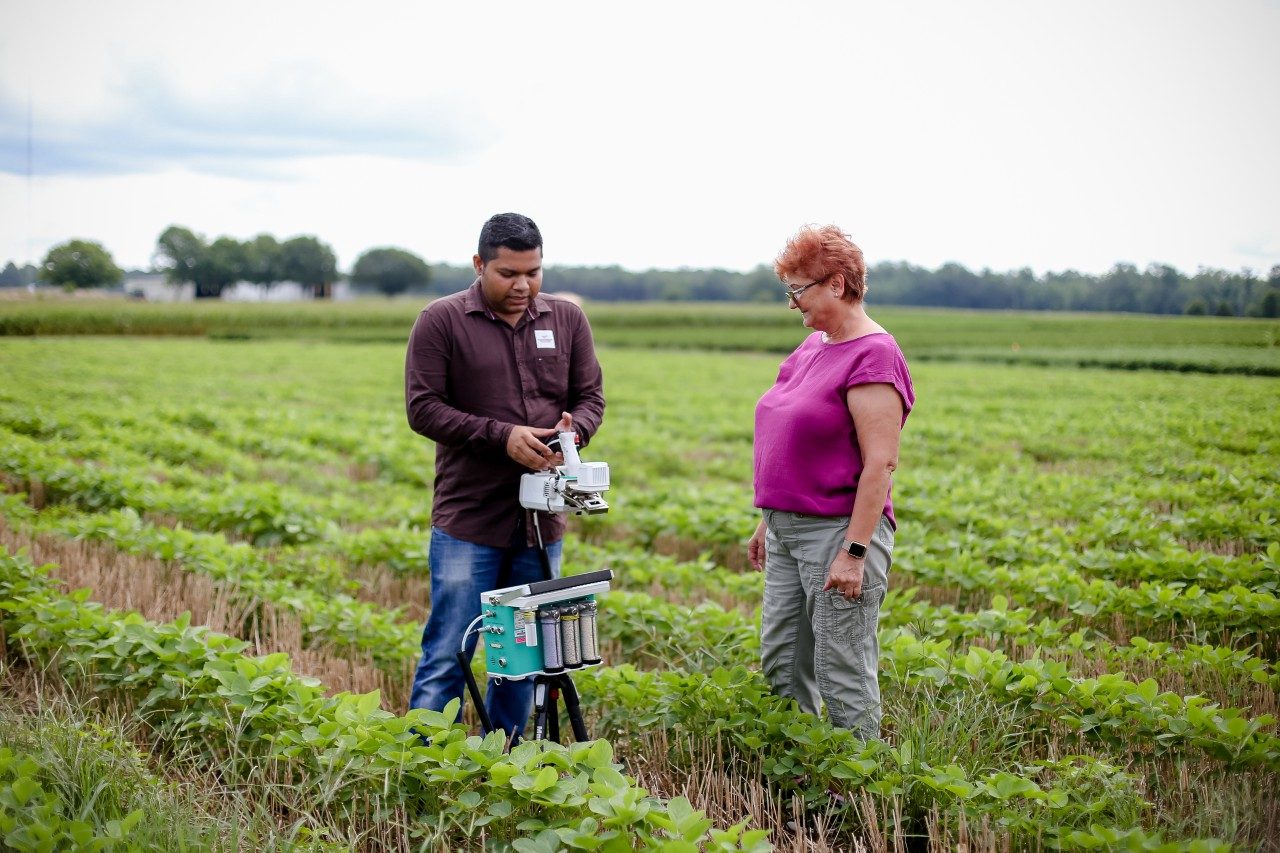 Dr. Abhilash Chandel and Dr. Maria Bolota using photosynthesis measuring sensor on soybeans.