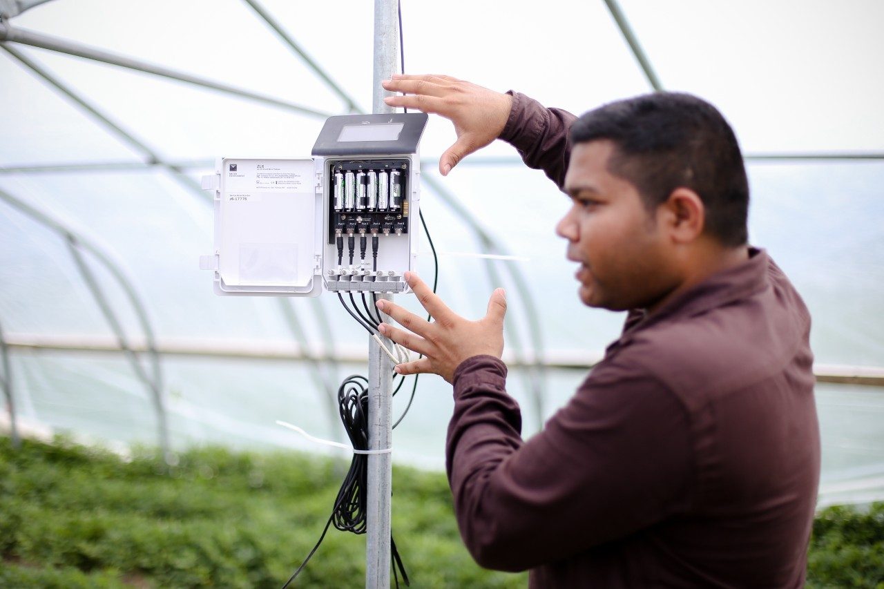 Demonstrating a weather station and data logger.