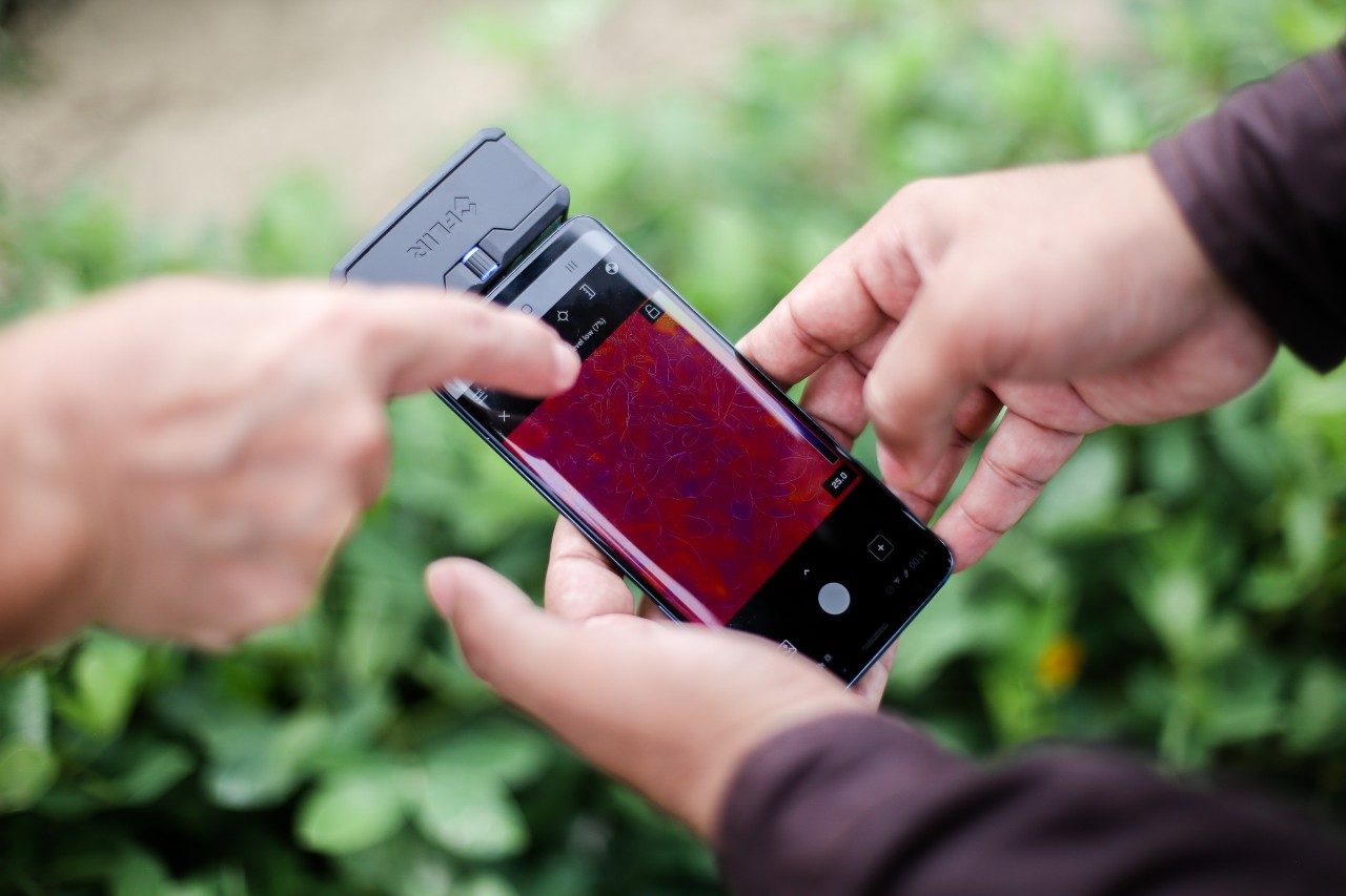 Using smartphone-based thermal imaging on peanuts.