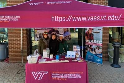 The Virginia Tech tent and booth at the event featuring examples of work with oyster life cycles.