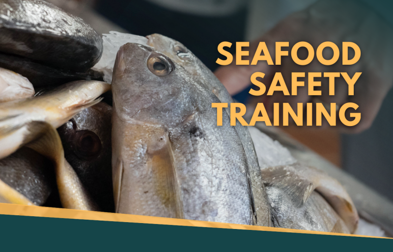 Banner image showing fish in a seafood market