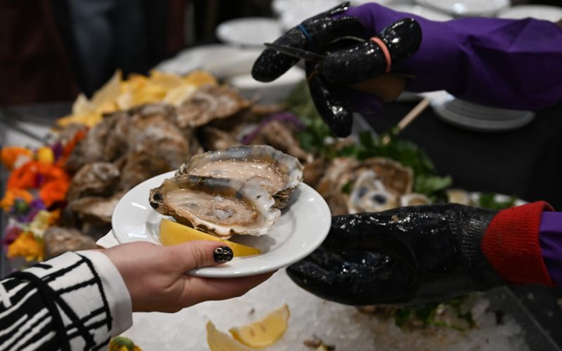 Oysters being served onto a plate
