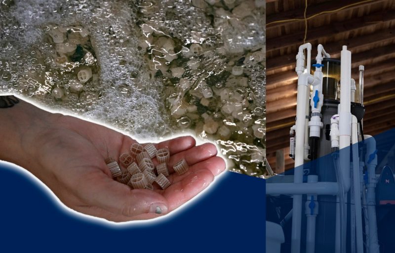 Hand holding plastic bead growth media, media bubbling in biofilter water