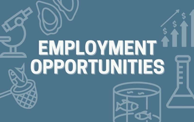 Employment Opportunities Banner Image