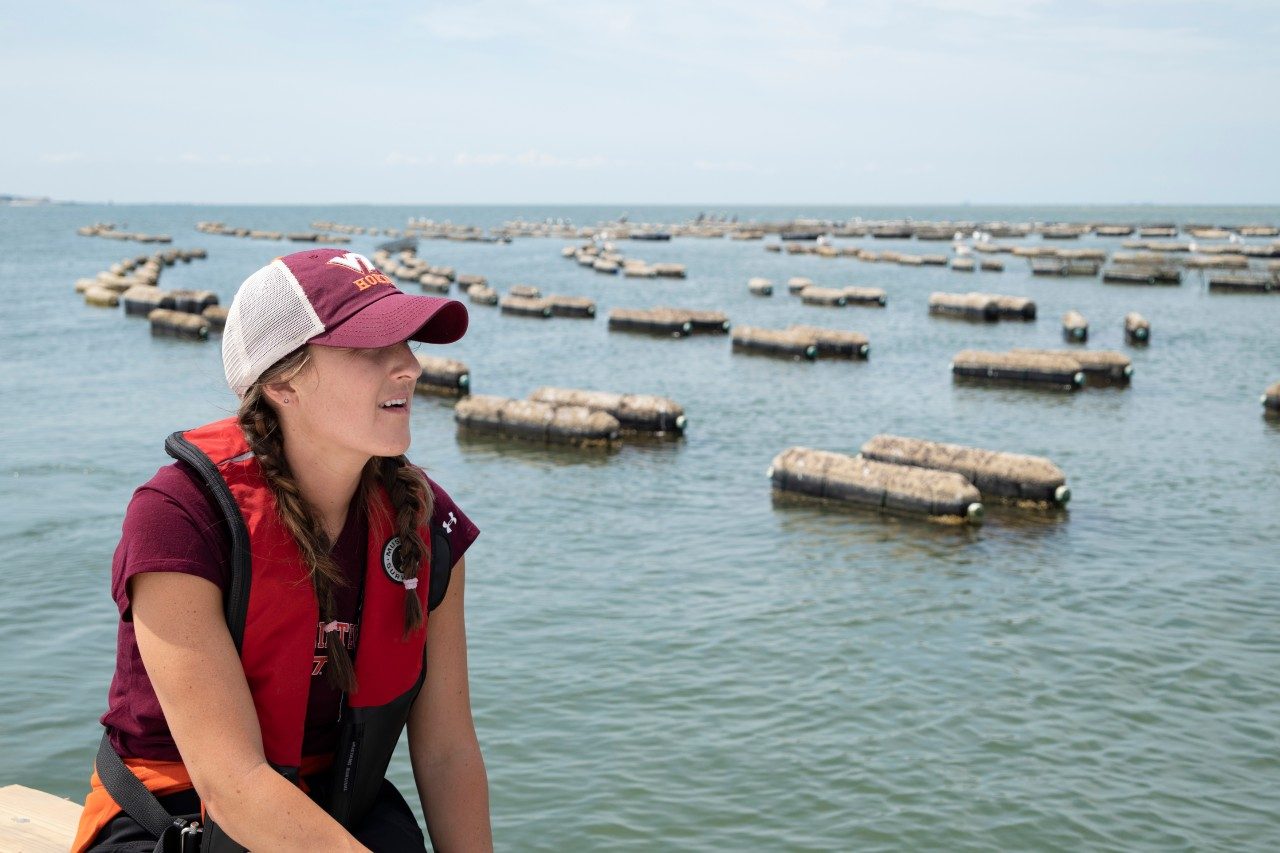 Graduate student visits oyster farm on the Chesapeake Bay