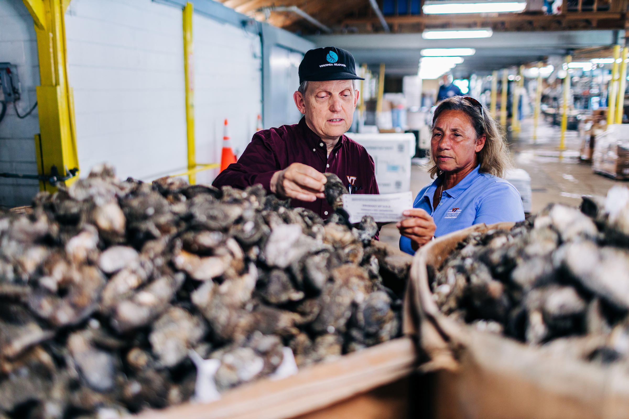 Safety specialists behind boxes of oysters